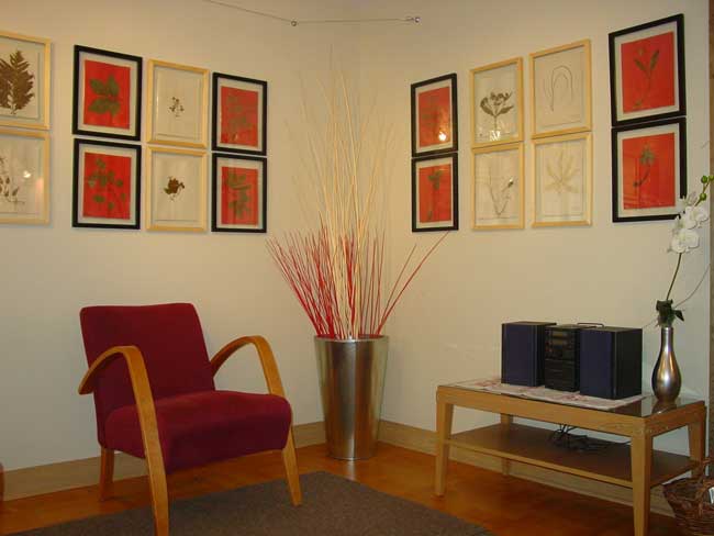 museocabinet