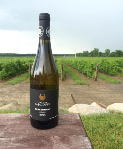 Vignoble du Domaine SaintJacques SaintJacquesleMineur 17 des